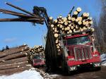 Western Star 4900 FA Logging Truck 2008 года